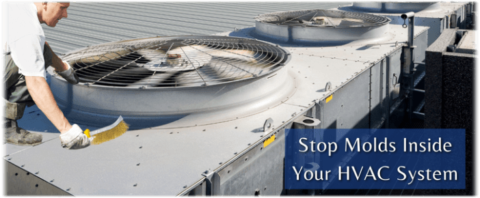 HVAC Mold Removal San Francisco